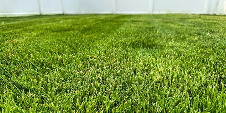 Lawn Fertilizer Service in Bellmore NY