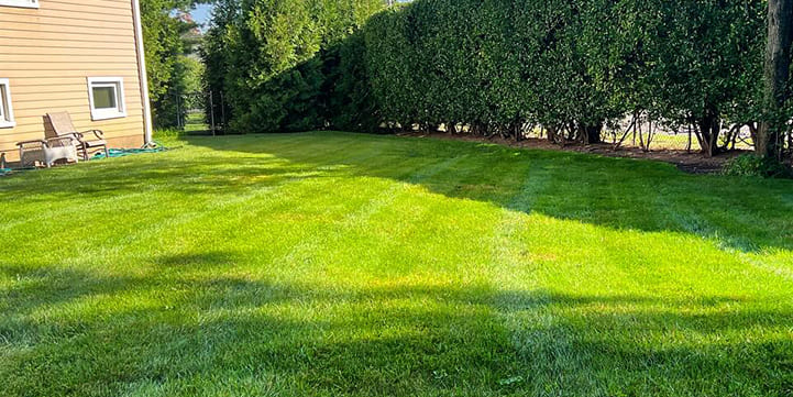 Weed Control Local Service for Bellmore NY