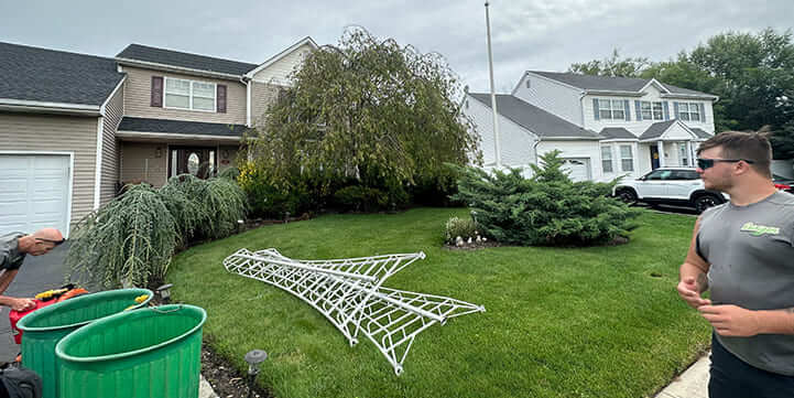 Tree Removal Experts in Bellmore NY