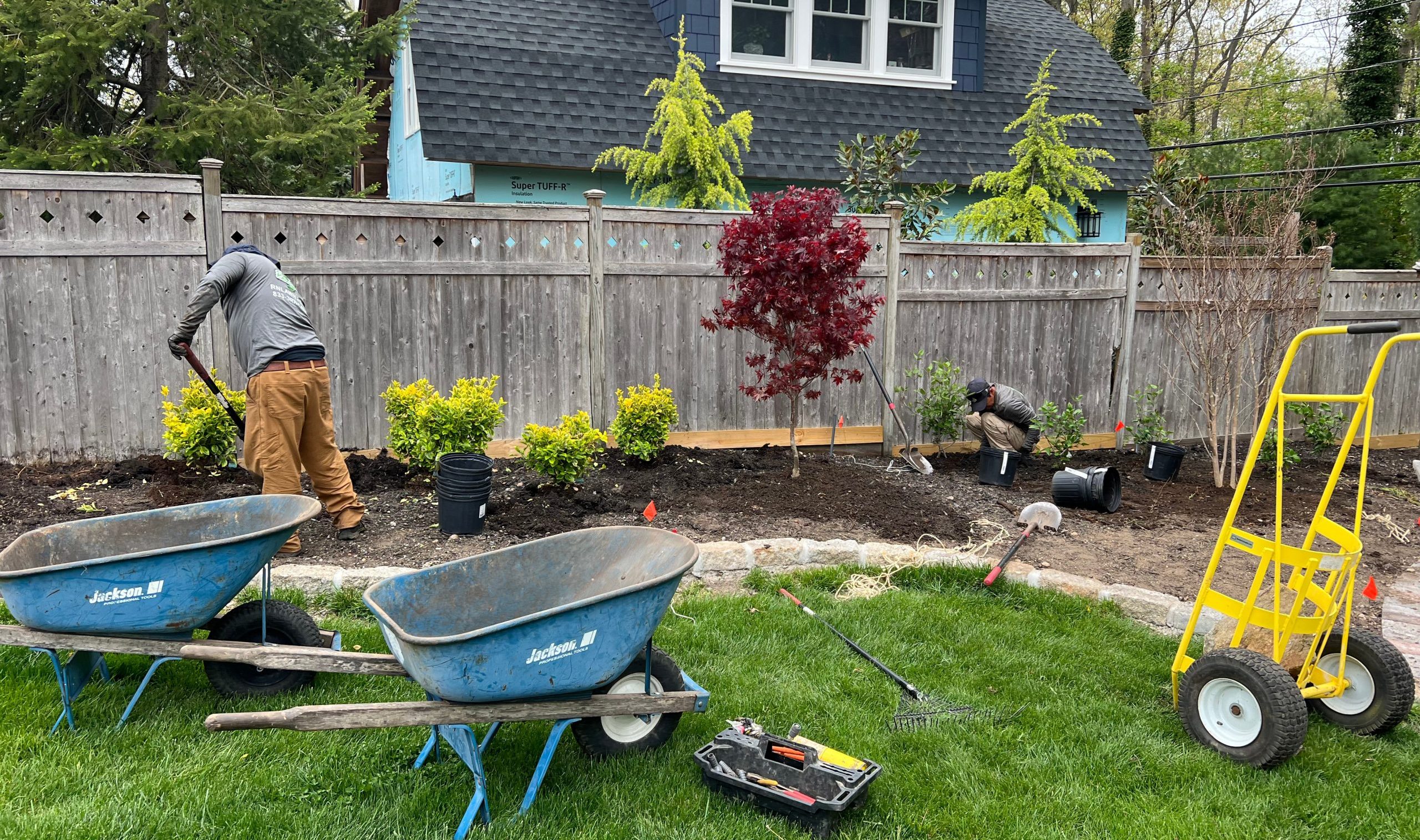 Tree Installation in Bellmore NY